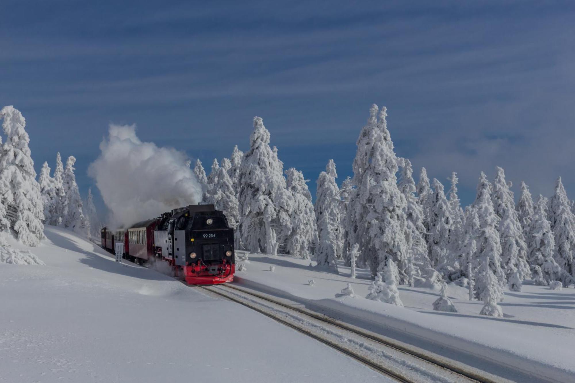 Fewo Schloesschen #Innenstadt#Garten#Ruhige Lage Von Harztraveler Wernigerode Exterior foto